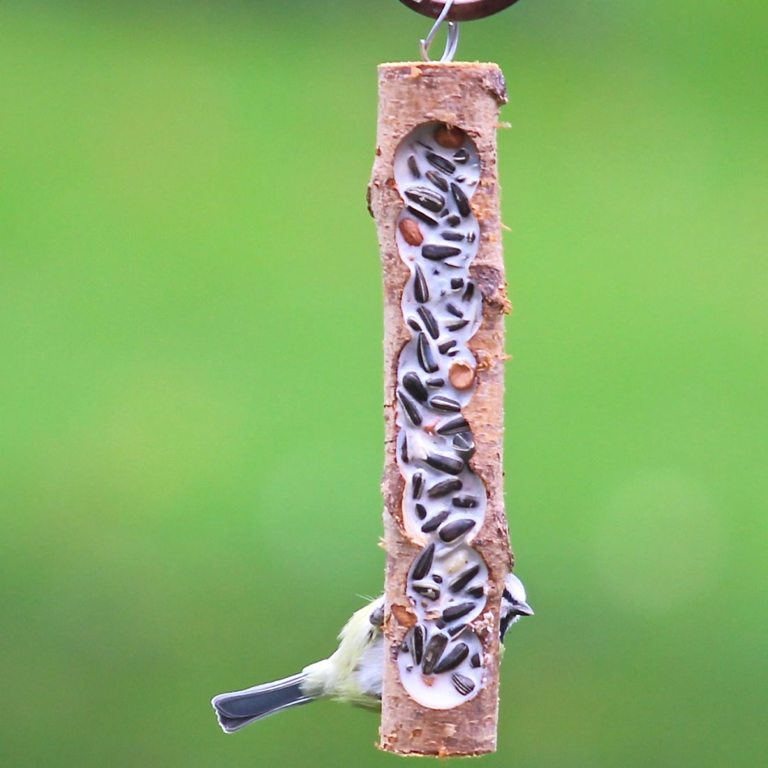 Futterholz klein mit bestem Vogelfutter und Rindertalg
