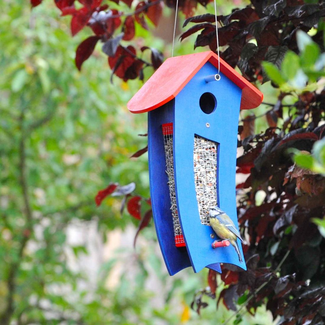 Futterspender blau - Futtersilo für loses Vogelfutter