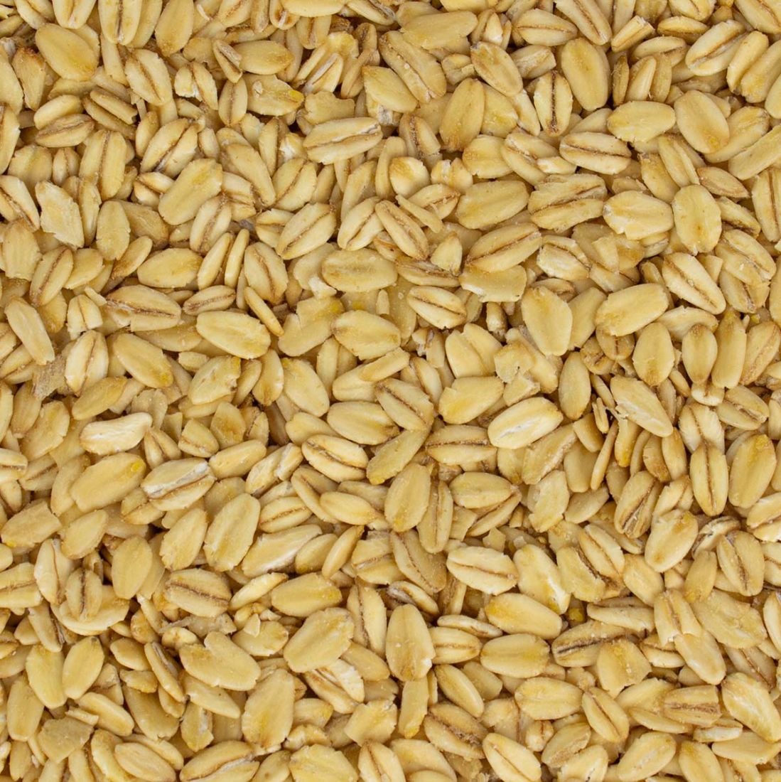 Geölte Haferflocken 25 kg