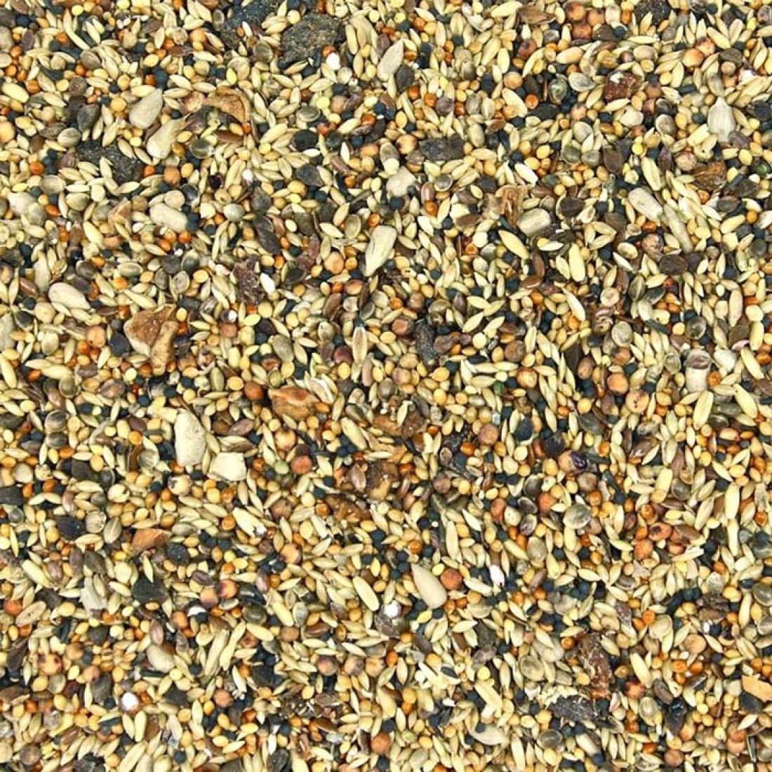 GEVO® Wildvogelfutter mit Früchten 1 kg