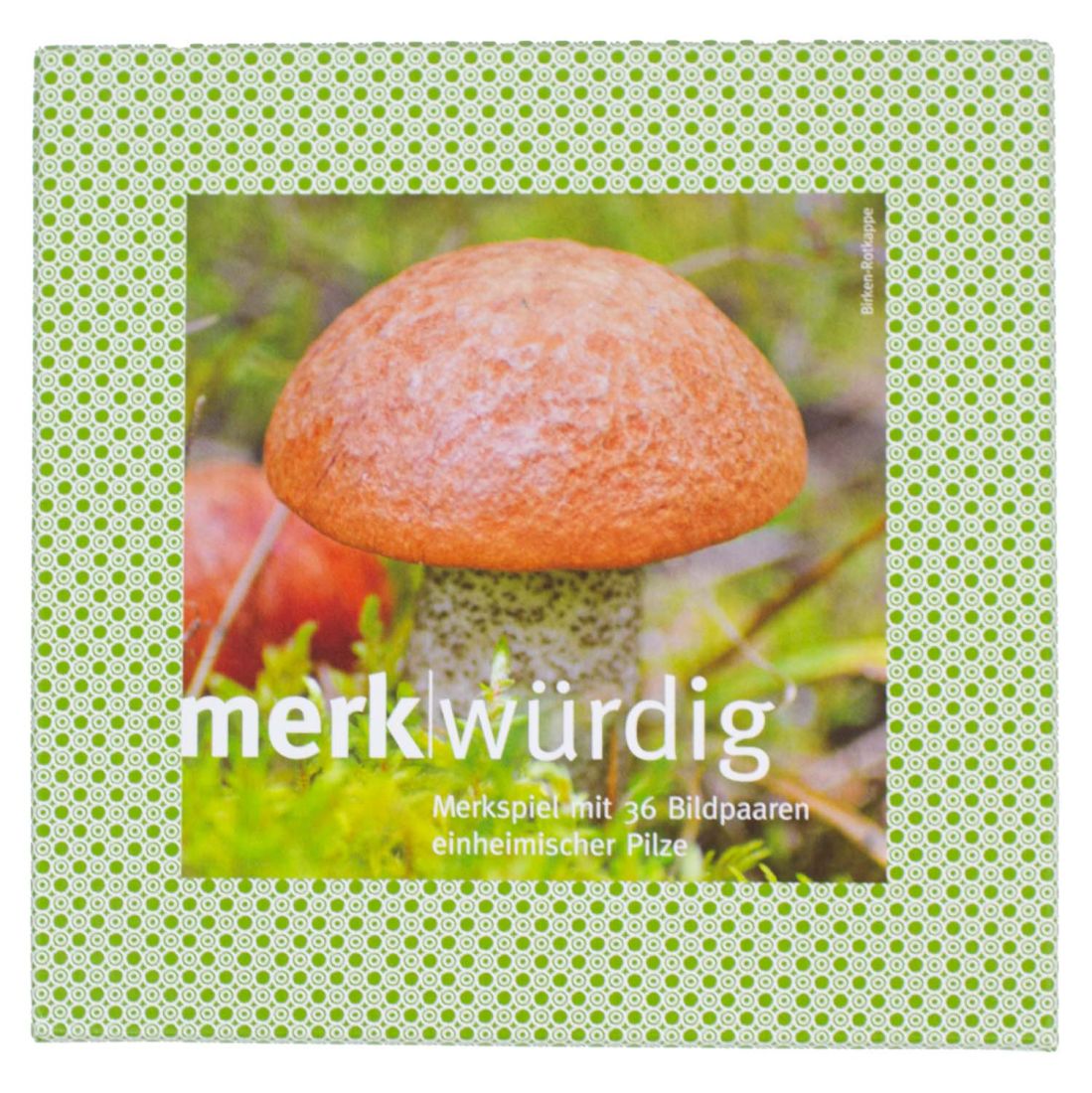 Merk-Spiel einheimische Pilze mit 36 Bildpaaren