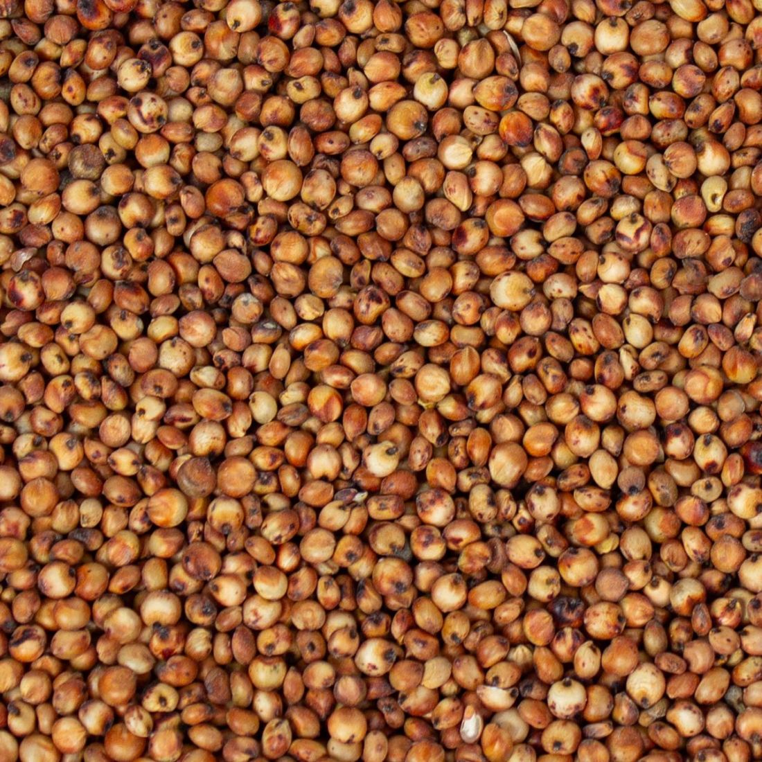 Milokorn 20 kg (2 x 10 kg Säcke)