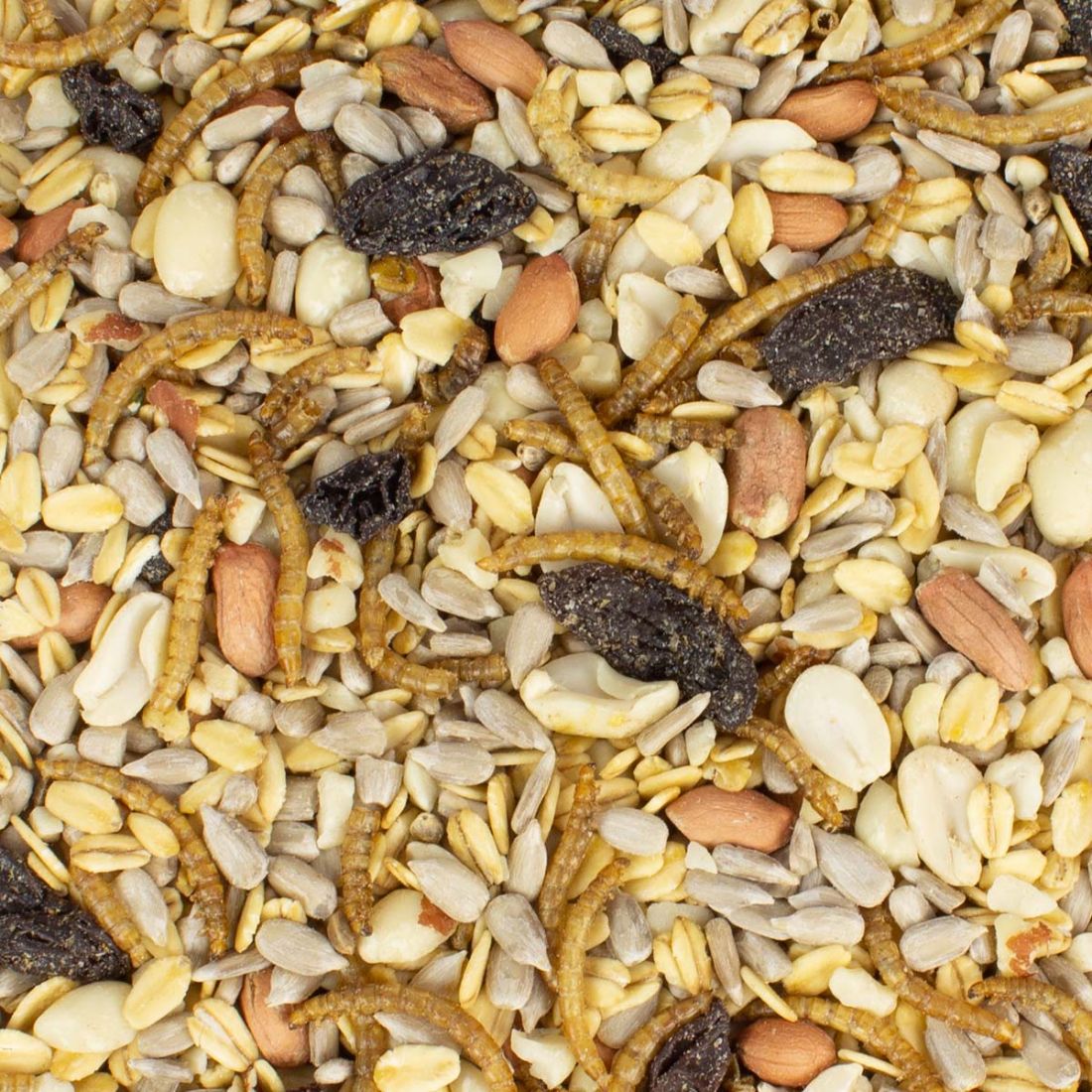 Premium-Futtermix schalenfrei 6 kg Eimer