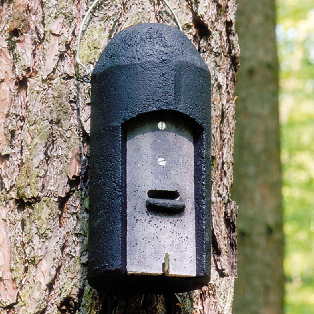 Schwegler Fledermaushöhle 1FD mit 3-facher Vorderwand