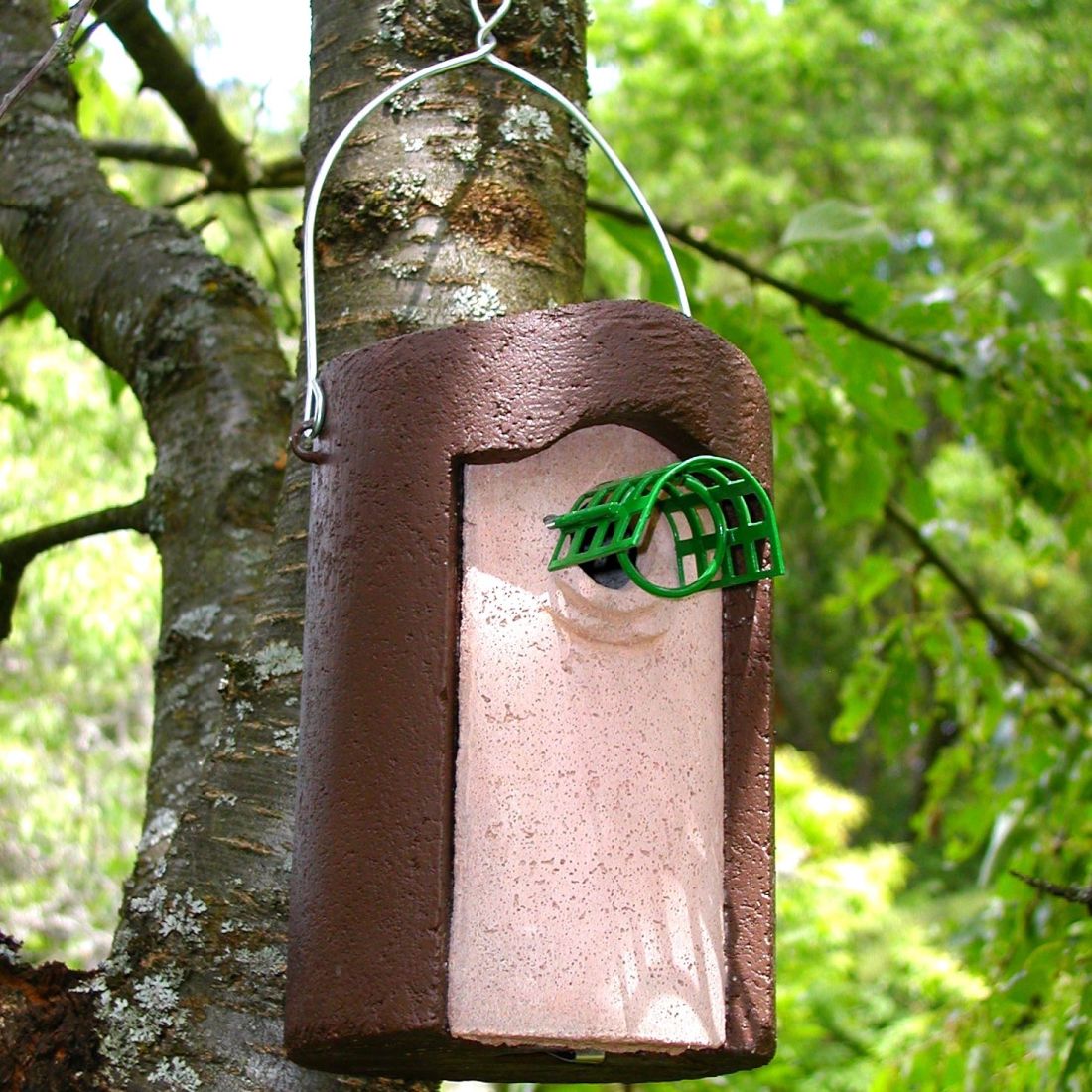 Schwegler Vorderwand 26 mm für Nisthöhle 1B und 2M mit Marderschutz
