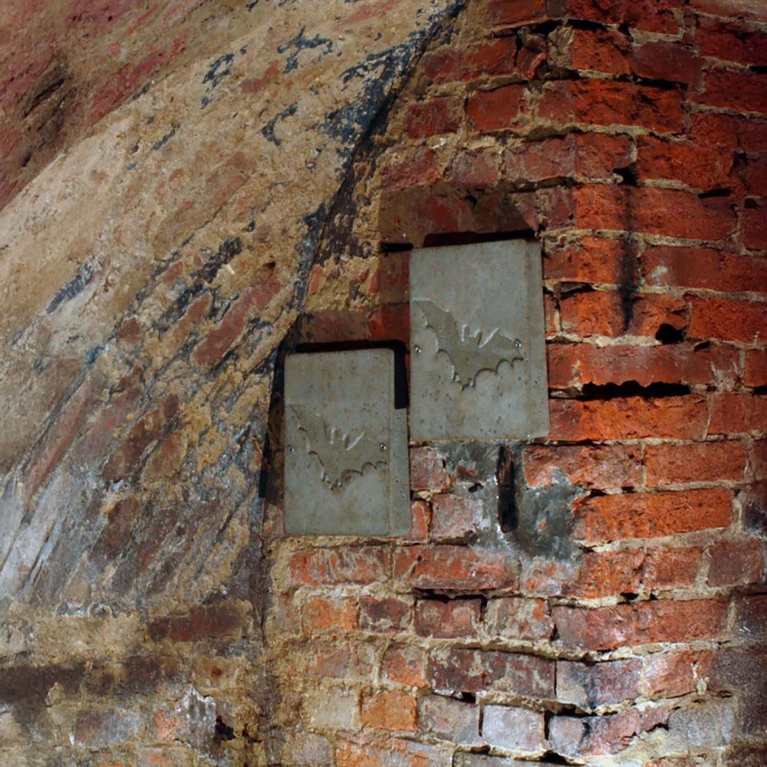 Schwegler Fledermaus Wandschale 2FE (2 Stück!)