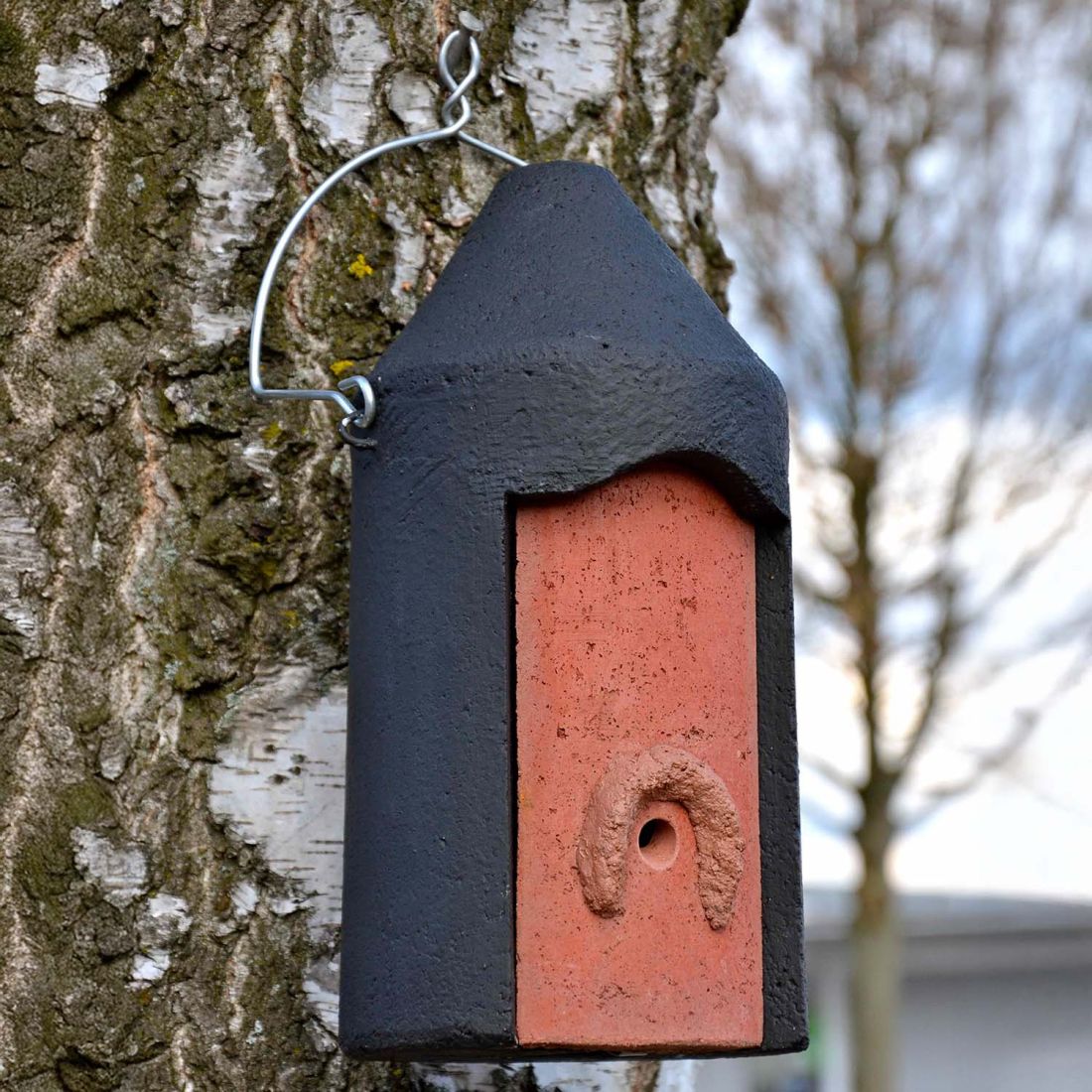 Schwegler Hornissen Starter-Höhle