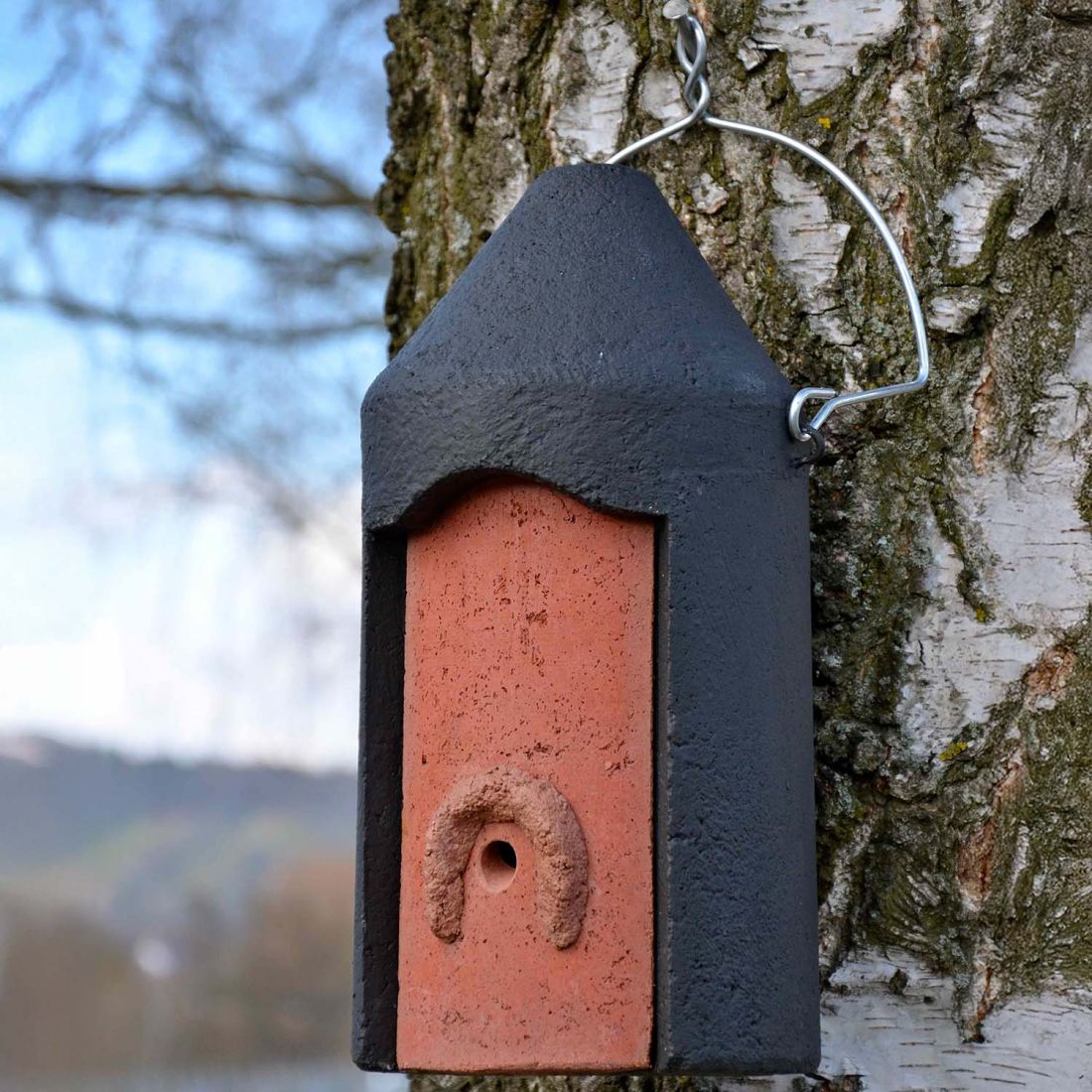 Schwegler Hornissen Starter-Höhle