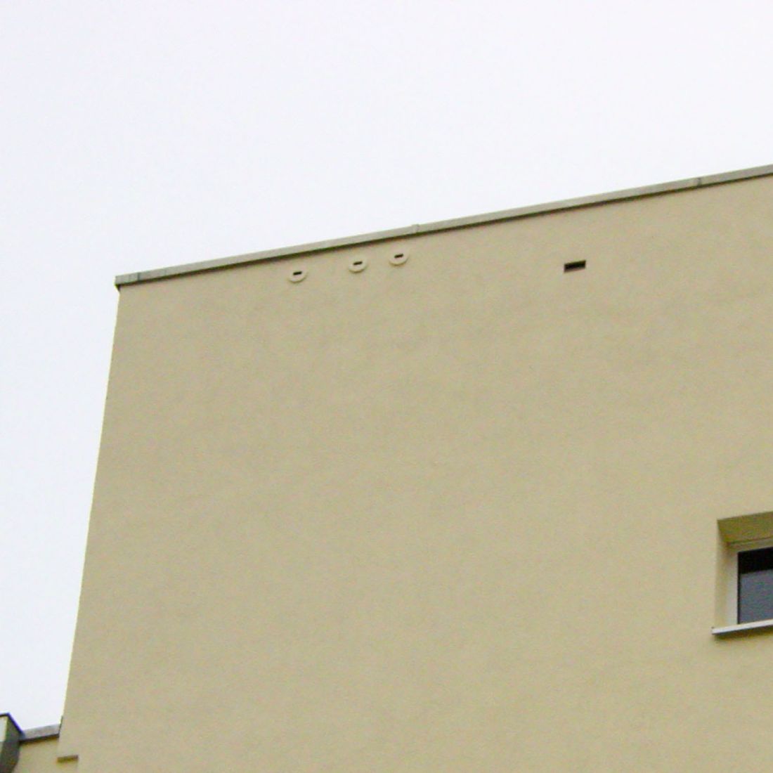 Schwegler Mauersegler-Nistkasten Nr. 17A 3-fach