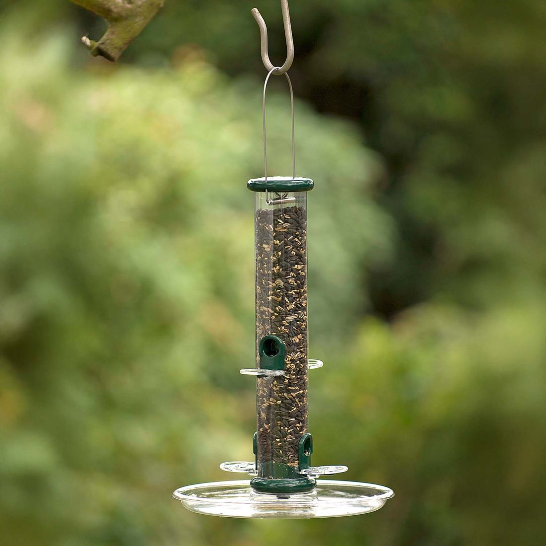 Schwegler Futterschale für Ring-Pull Pro Futtersäulen Mini, Medi, Maxi