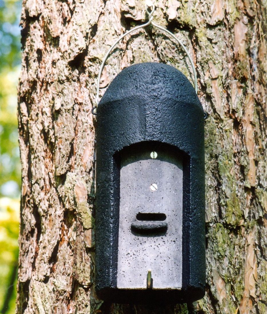 Schwegler Fledermaushöhle 1FD mit 3-facher Vorderwand