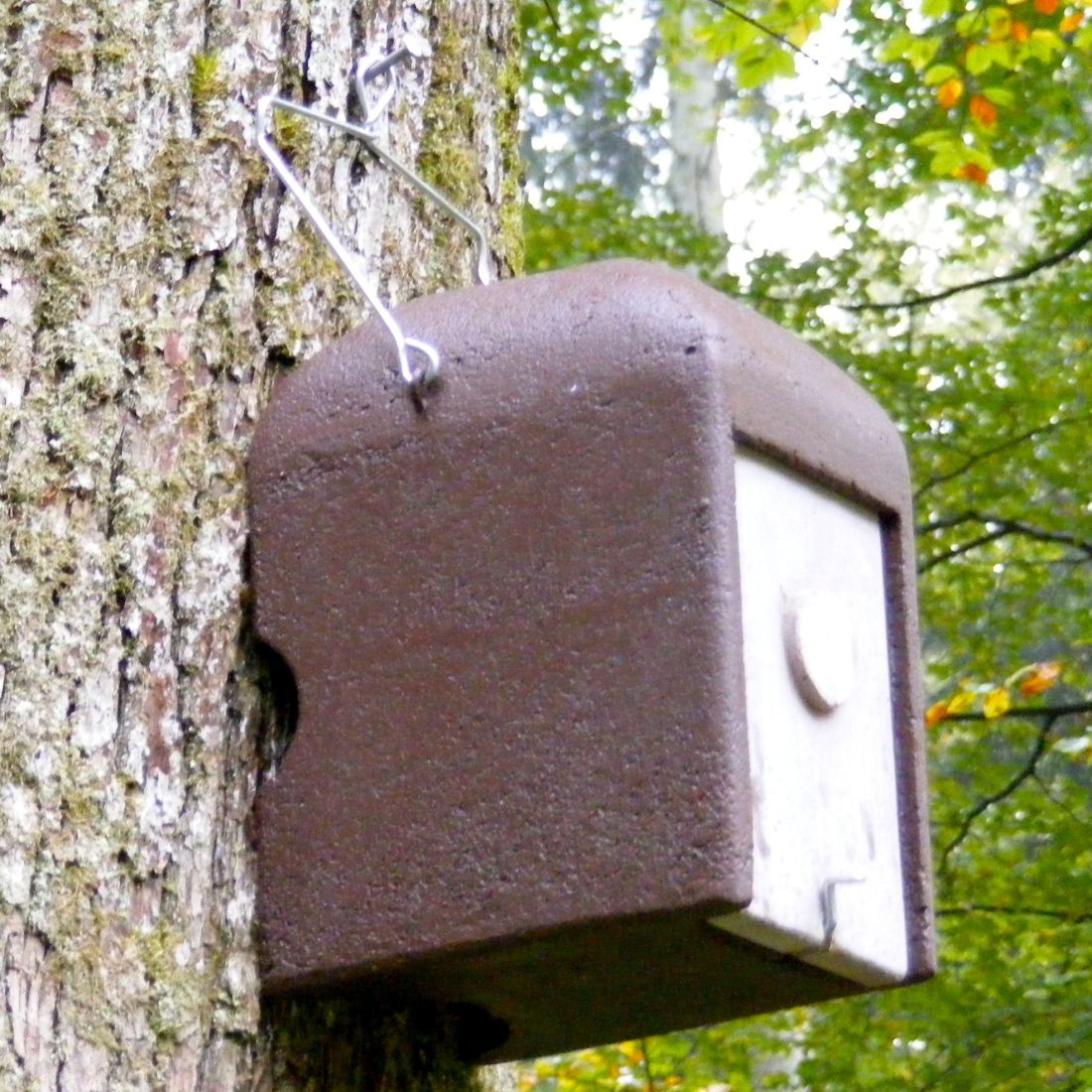Schwegler Haselmauskobel 2KS