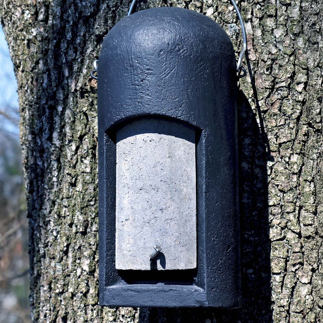Schwegler Kleinfledermaushöhle 3FN