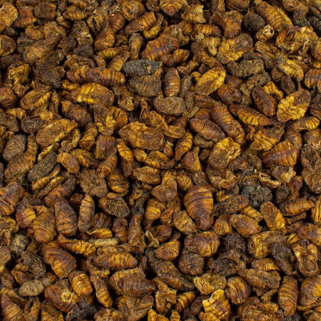 Seidenraupen getrocknet 1 kg