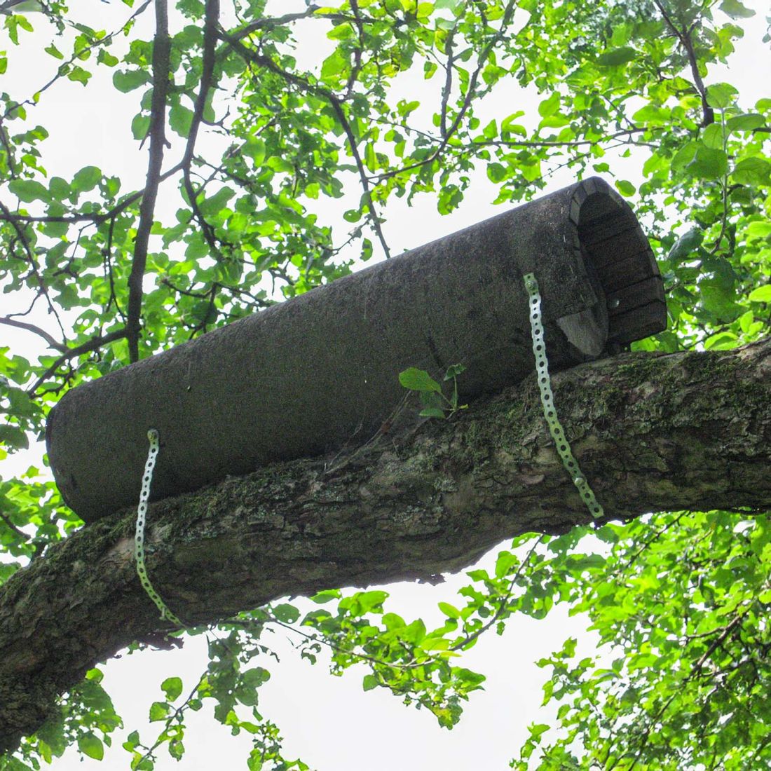 Schwegler Steinkauzröhre rund Typ Nr. 20B mit Marderschutz und Belüftung