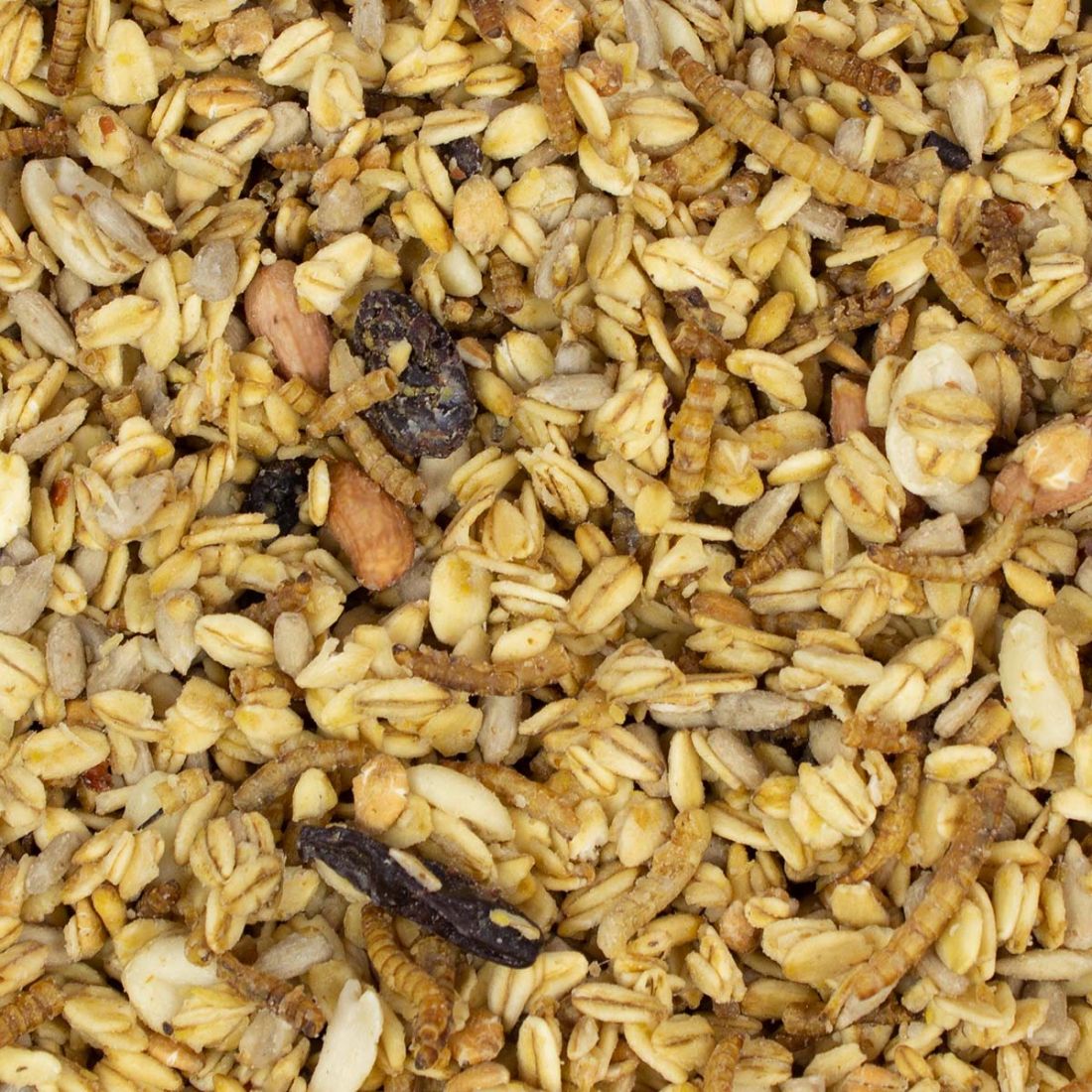 Fettfutter Original 1 kg - extra fettreich