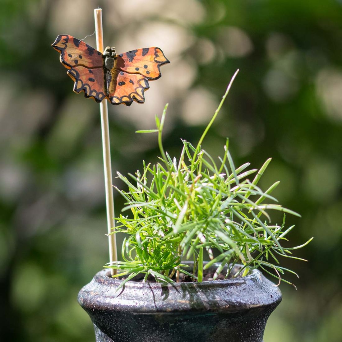 C-Falter handgeschnitzter Schmetterling mit Magnet