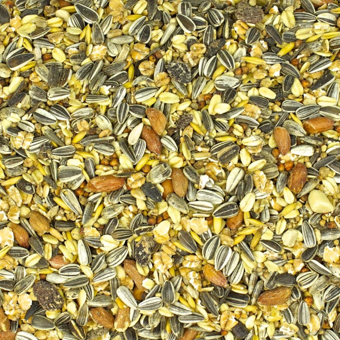 1 kg GEVO® Wildvogel-Futtermix