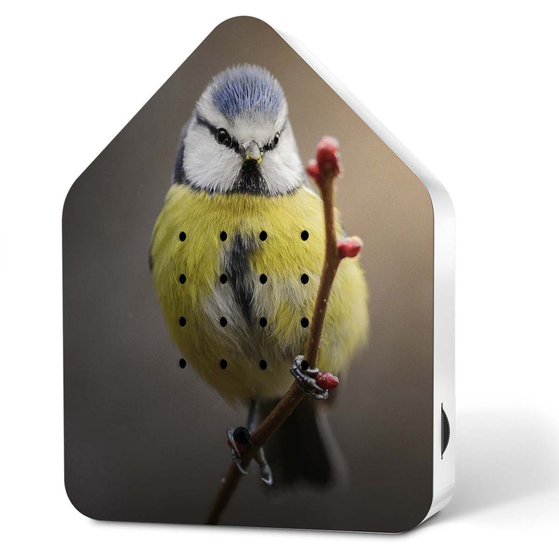 Zwitscherbox Blaumeise - Limited Edition - Vogelgezwitscher - inkl. Saugnapf