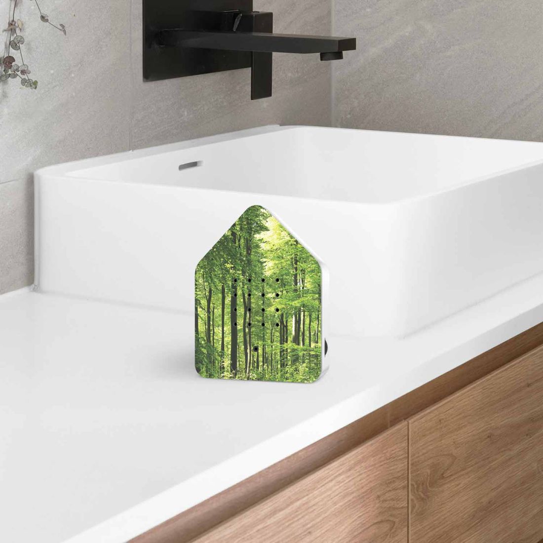 Zwitscherbox Waldmotiv - Vogelgezwitscher