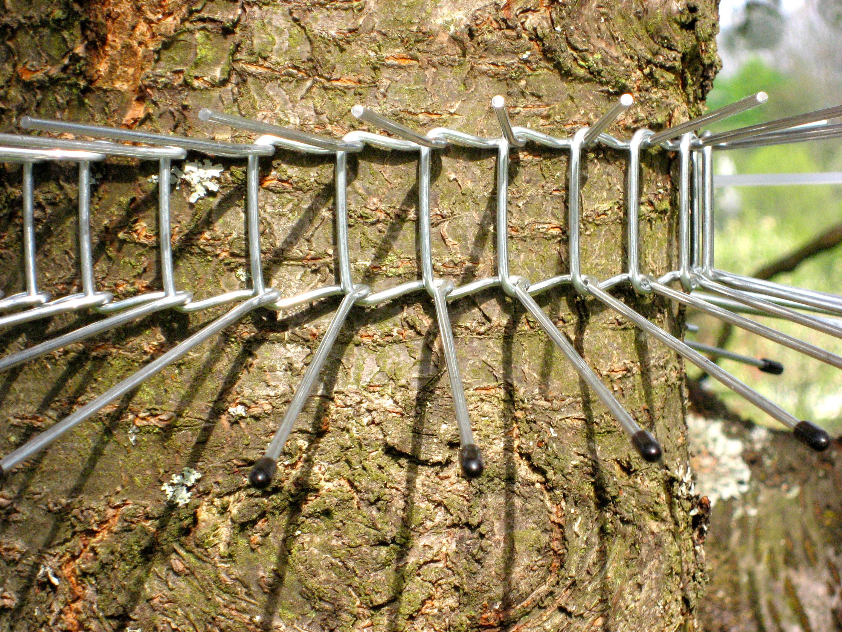 Schwegler Katzenabwehrgurtel Klein 70 Cm Vogelschutz Vogel Und