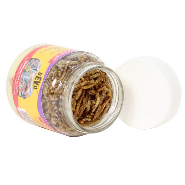 SPARPAKET-12 Gläser GEVO® Mehlwürmer in Fett