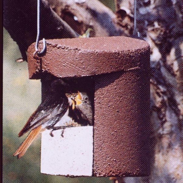 Schwegler Set I Balkon und Terrasse 3 Vogelhäuser und 1 Insektenhotel