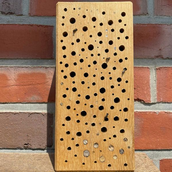 Insektenhotel für Wildbienen Eichenholz