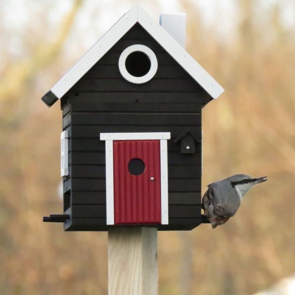 Wildlife Garden Schwedenhaus schwarz Vogel-/Futterhaus
