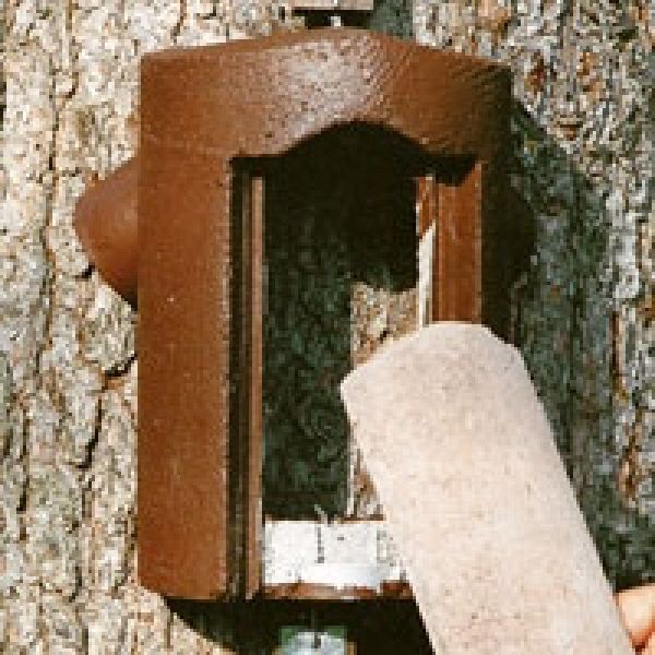 Schwegler Vorderwand Baumläuferhöhle 2B