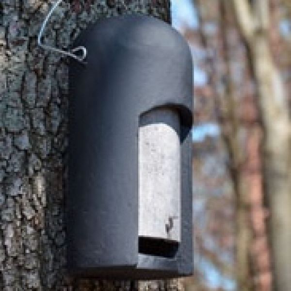 Schwegler Ersatzvorderwand für Fledermaushöhle 2FN, speziell