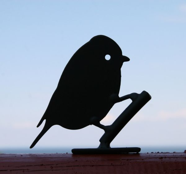 Silhouette Blaumeise