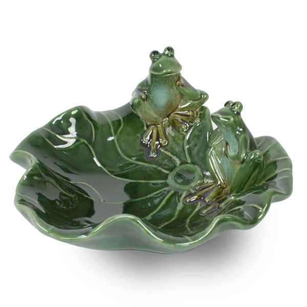 Vogeltränke Froschkonzert