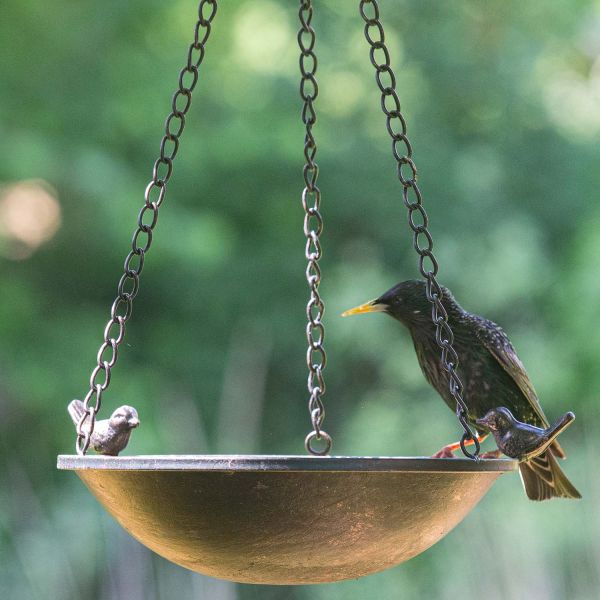 Vogeltränke Metall zum Hängen mit 3 Vögeln