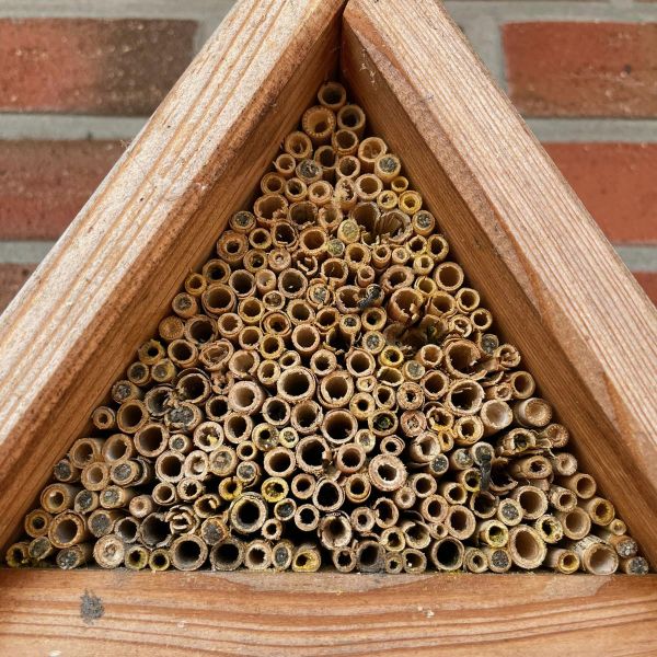 Bienenhotel klein Rotenburger Werke Insektenhotel für Wildbienen
