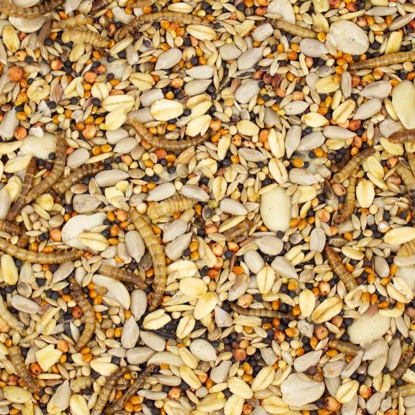 Wildvogelfutter mit Insekten 10 kg