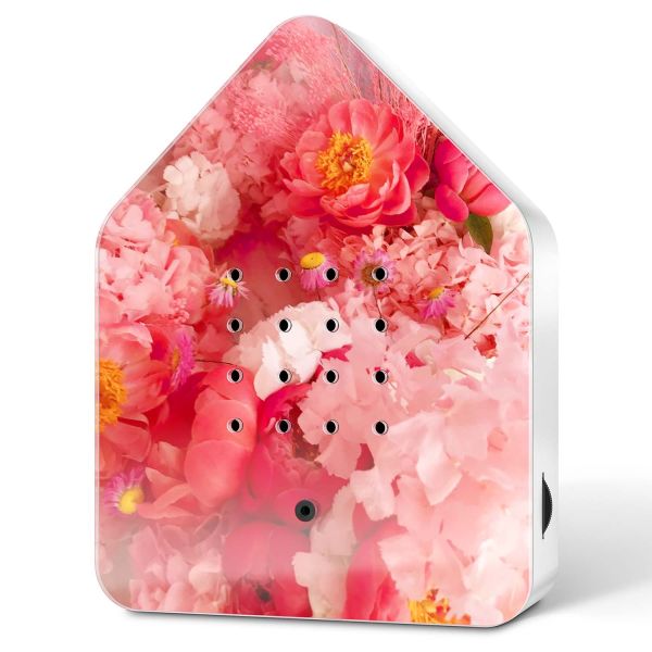 ZWITSCHERBOX® Cherry Blossom - Poppykalas Edition - inkl. Saugnapf