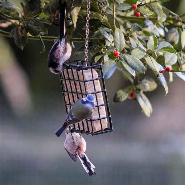 Pfiffikus Vogel-Buffet 300g Erdnuss-Energiekuchen