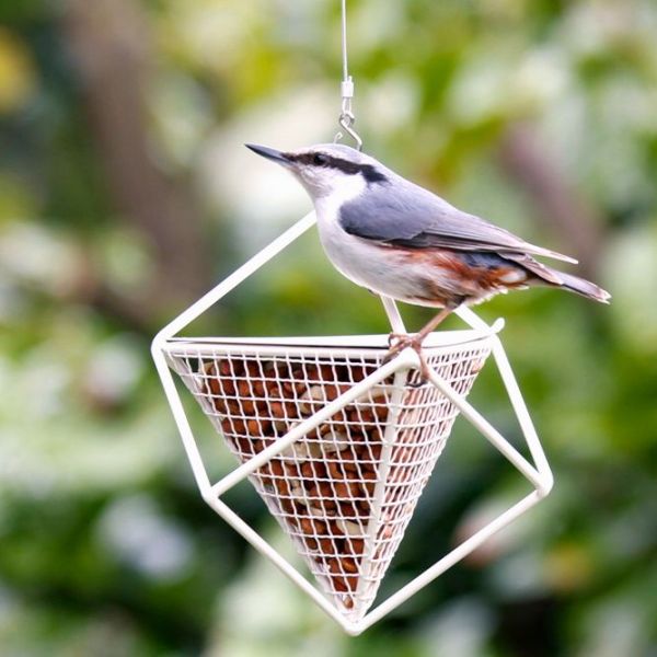 Erdnuss-Spender Kubus weiss Wildlife Garden Futterspender