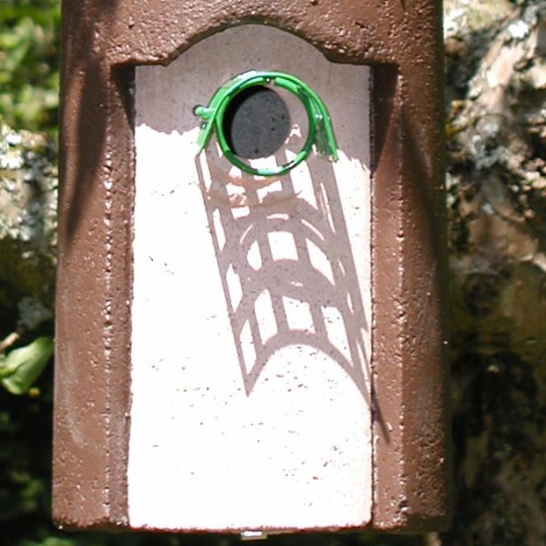 Schwegler Vorderwand 32 mm für Nisthöhle 1B und 2M mit Marderschutz