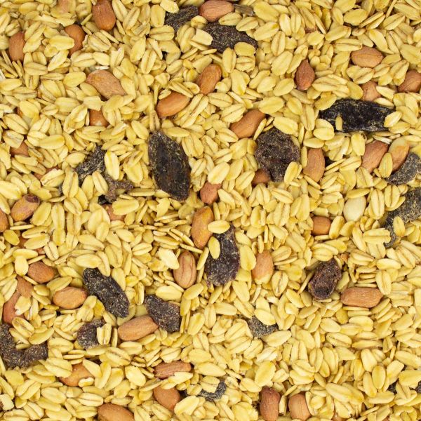 Premium Fettfutter 5 kg im Sack
