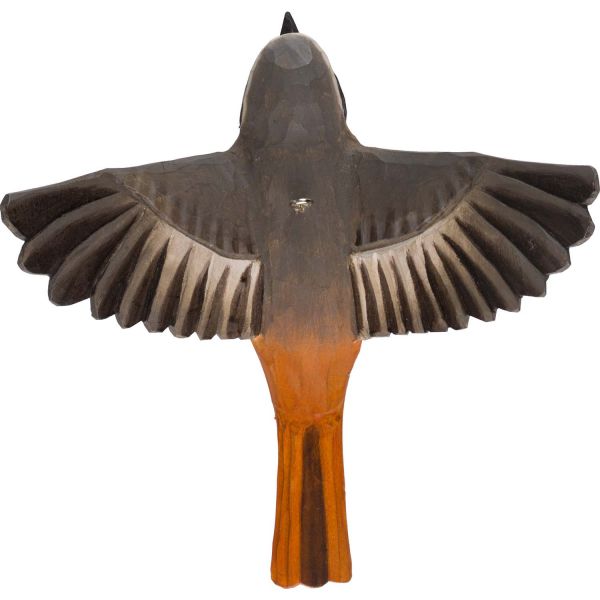 Gartenrotschwanz fliegender Holzvogel von oben