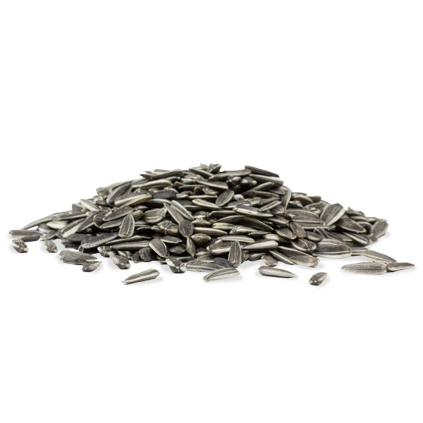 Sonnenblumen-Kerne gestreift 2,5 kg