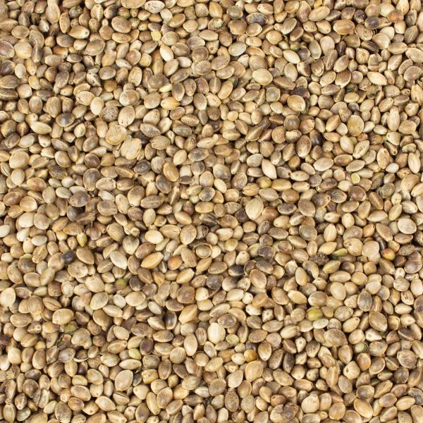 Hanfsamen 20 kg für Futterzwecke (2 x 10 kg Säcke)