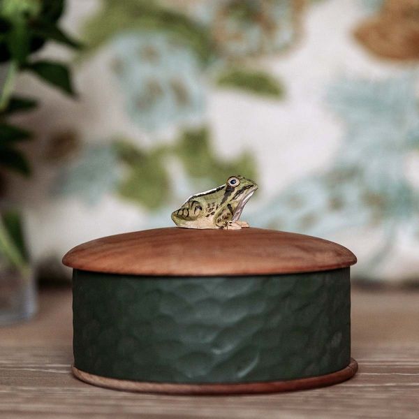 Holzkästchen Frosch