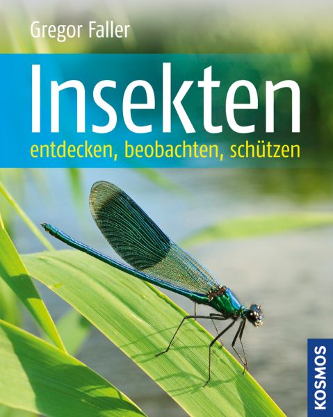 Insekten entdecken, beobachten, schützen Kosmos