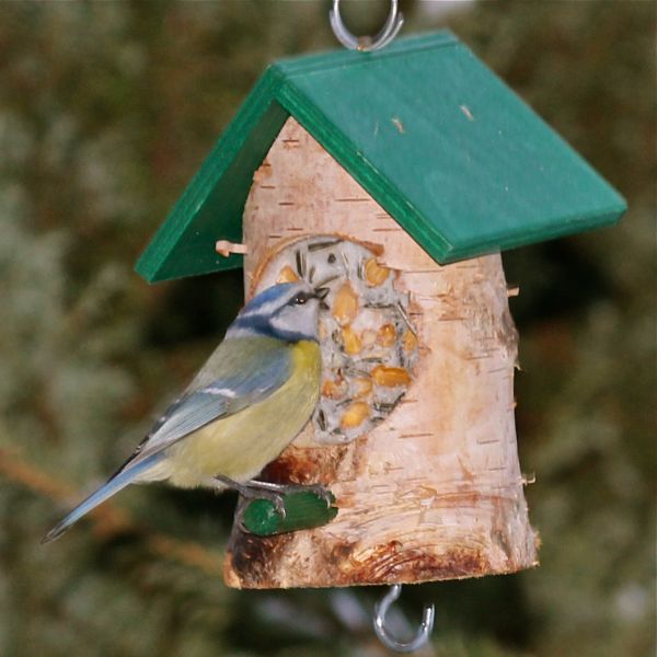 Knödel-Haus grün mit bestem Vogelfutter und Rindertalg