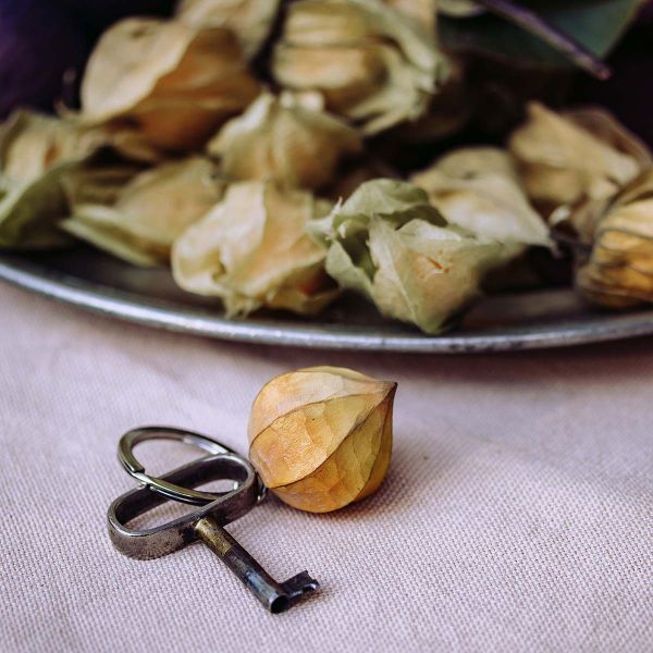 Physalis handgeschnitzter Schlüsselanhänger