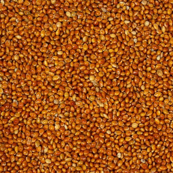 rote Hirse 2,5 kg