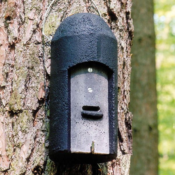 Schwegler Fledermaushöhle 1FD mit 3-facher Vorderwand